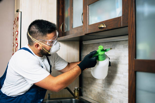 Best Local Pest Control Services  in Los Osos, CA