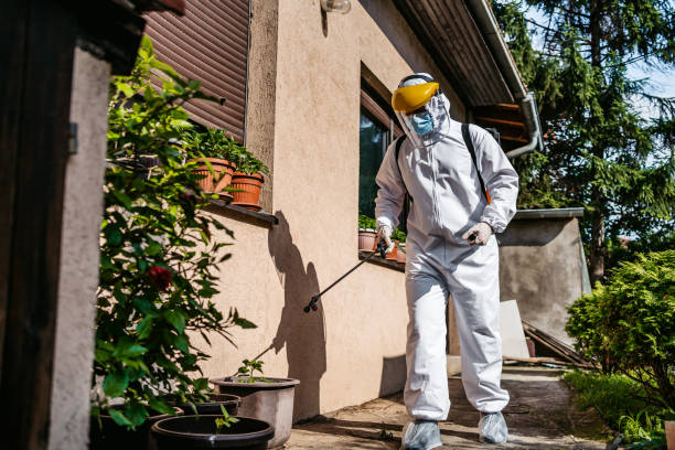 Best Exterminator Services  in Los Osos, CA