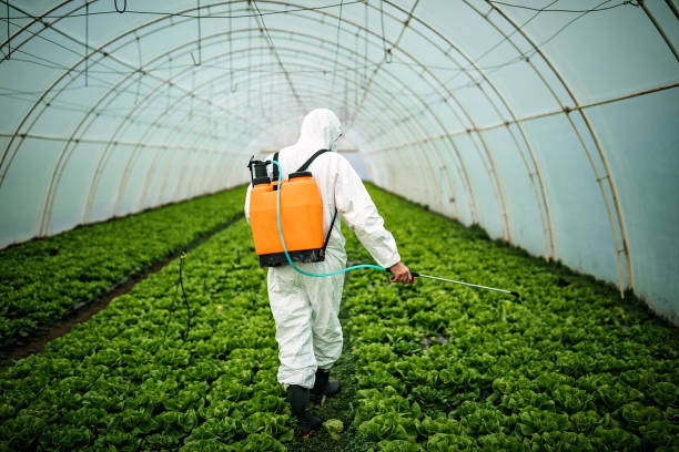 Best Pest Control Treatment  in Los Osos, CA
