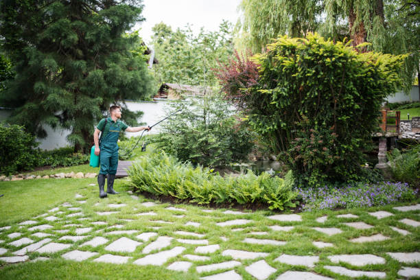 Best Best Pest Control Near Me  in Los Osos, CA