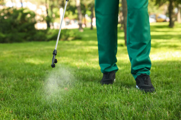 Best Pest Control Near Me in Los Osos, CA