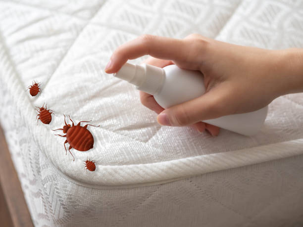 Best Best Pest Control Companies  in Los Osos, CA
