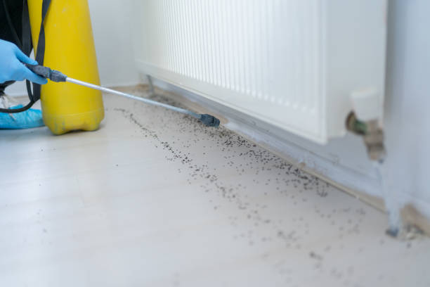 Best Commercial Pest Control Services  in Los Osos, CA
