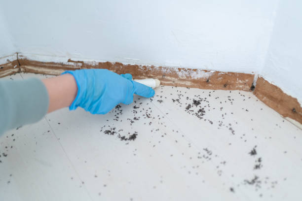 Best Wildlife Control Services  in Los Osos, CA